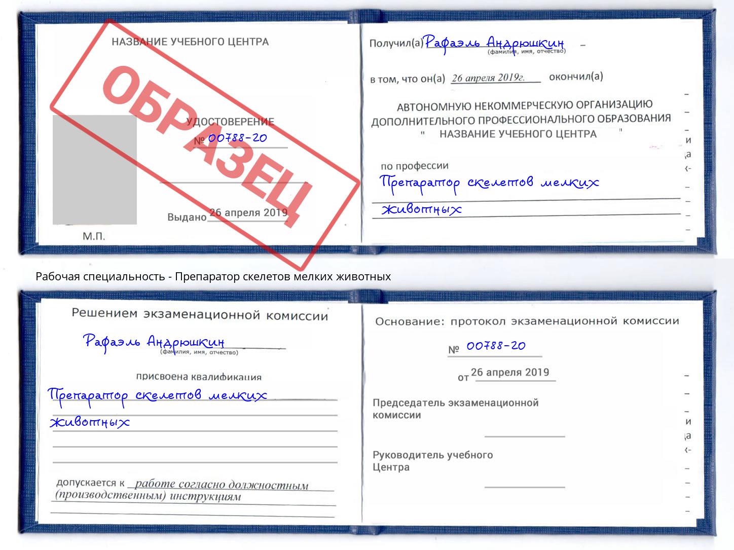 Препаратор скелетов мелких животных Мончегорск