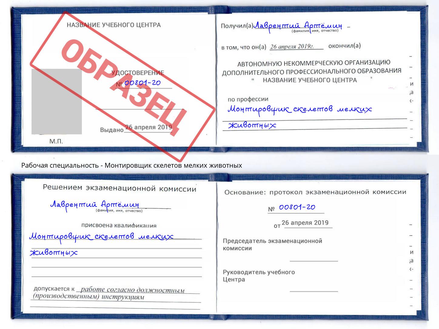 Монтировщик скелетов мелких животных Мончегорск