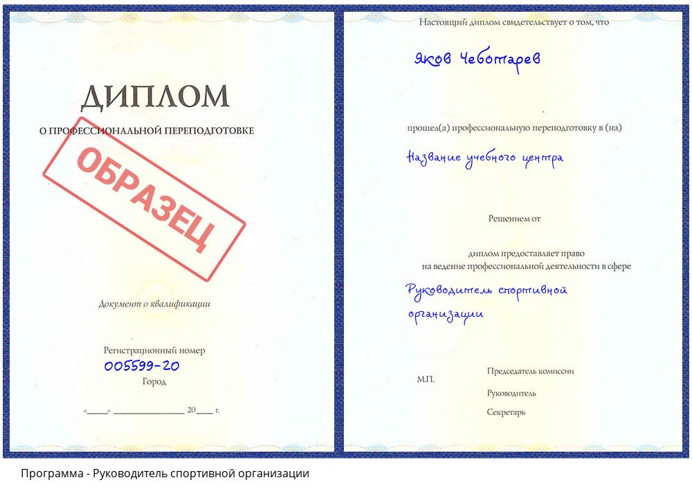 Руководитель спортивной организации Мончегорск
