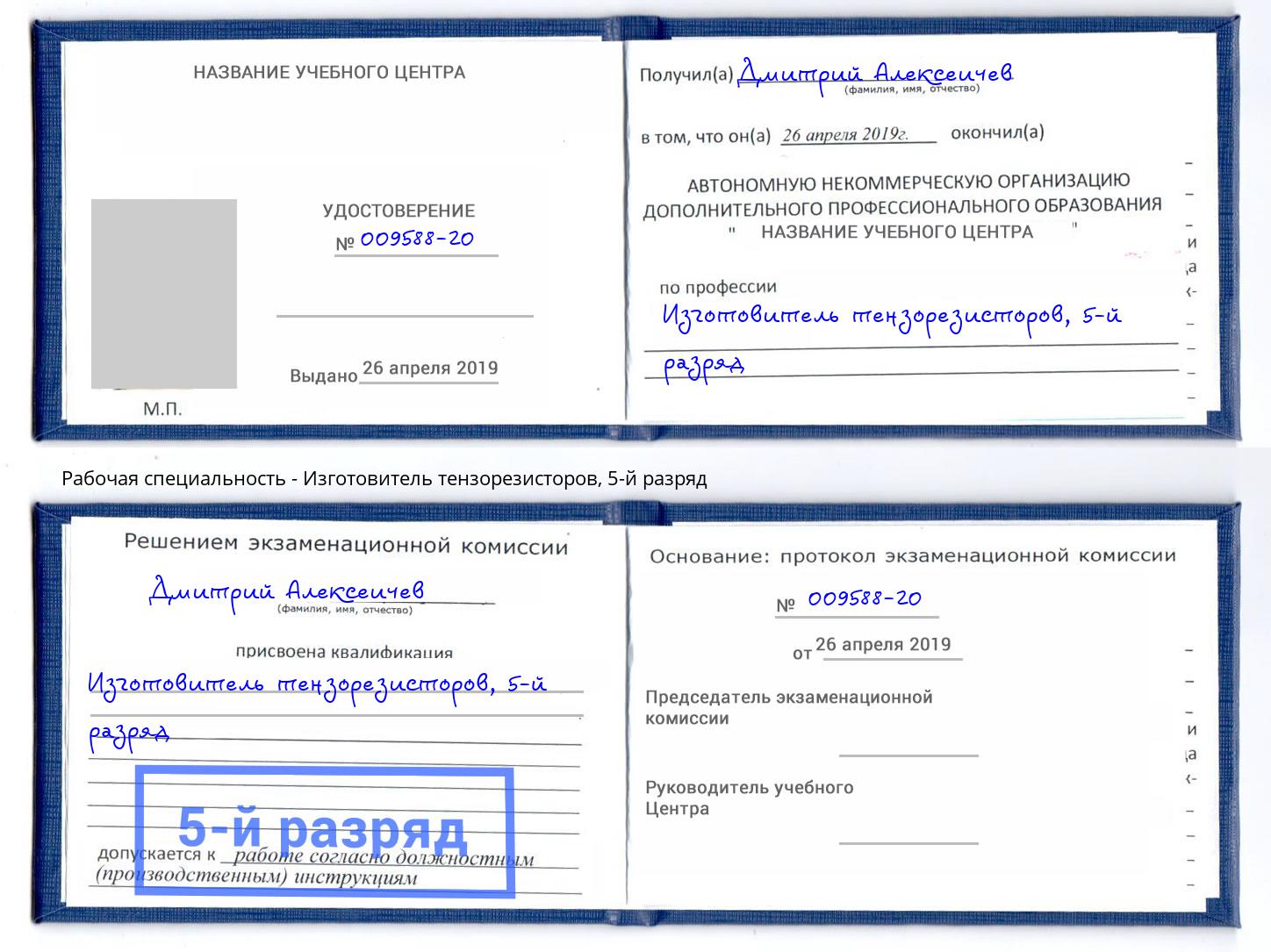 корочка 5-й разряд Изготовитель тензорезисторов Мончегорск