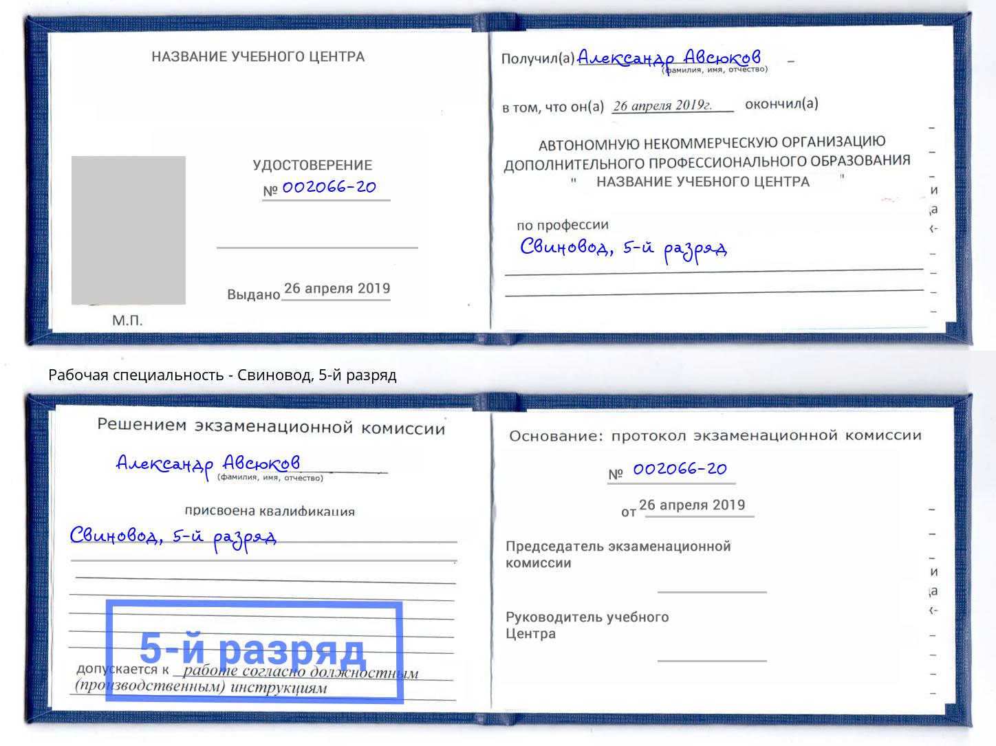 корочка 5-й разряд Свиновод Мончегорск