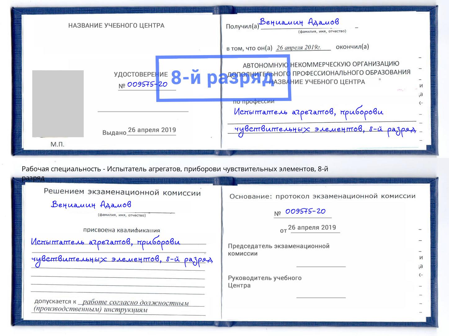 корочка 8-й разряд Испытатель агрегатов, приборови чувствительных элементов Мончегорск